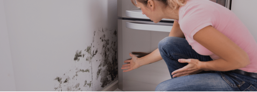 woman inspecting mold on interior walls