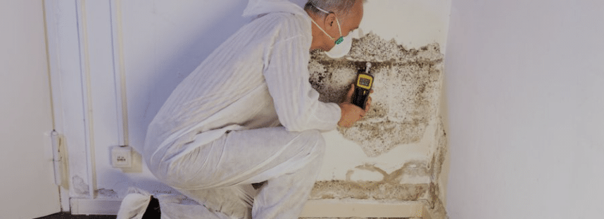 mold remediation specialist inspecting mold on walls