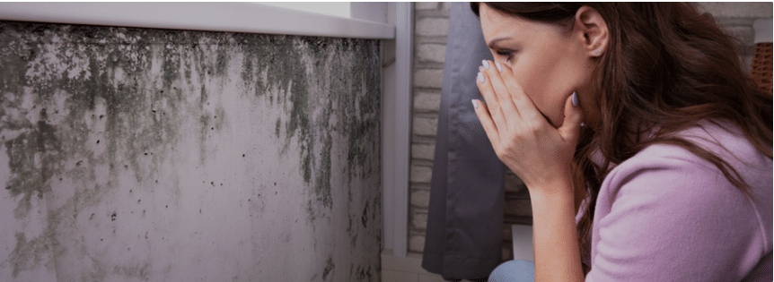 woman inspecting mold damage on wall