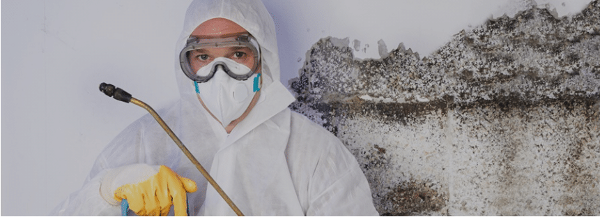 mold remediation professional wearing protective clothing while removing mold from a surface
