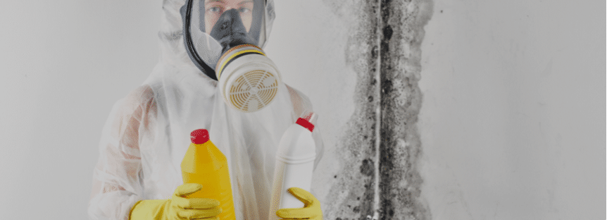 mold remediation specialist with protective gear