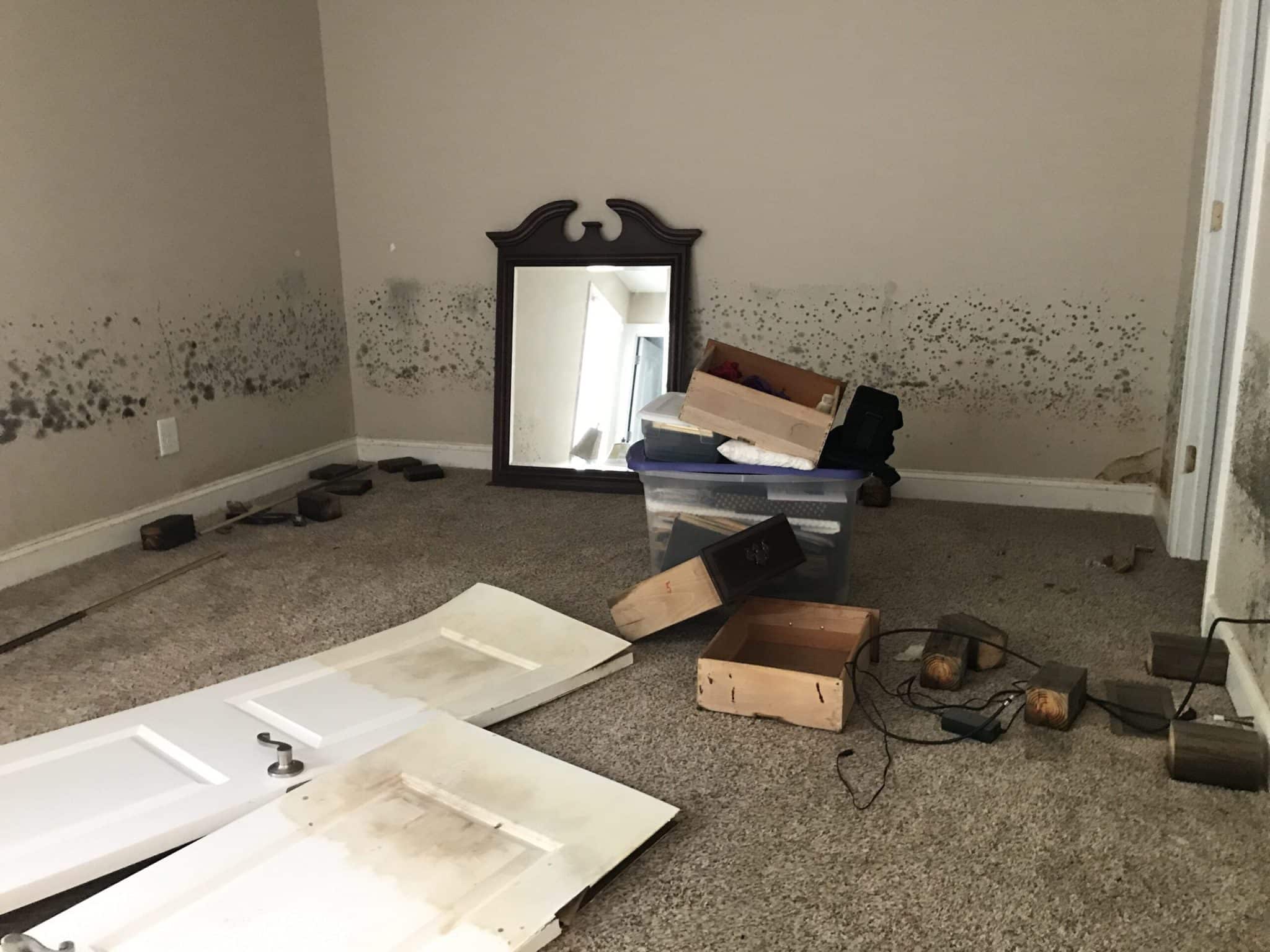 Flood damage in house causing mold