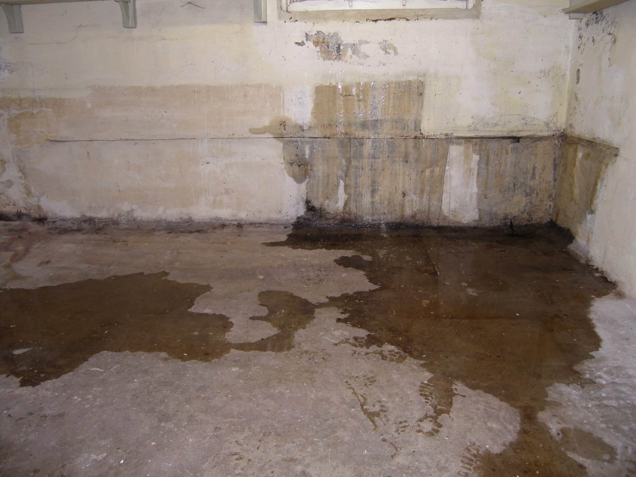 A damp and moldy wall in a leaky basement.