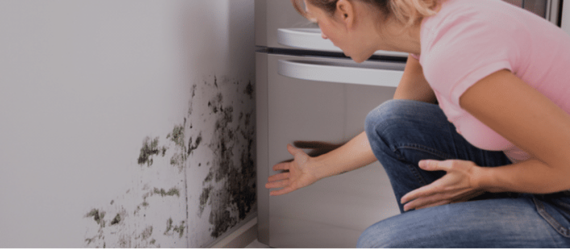 woman inspecting mold on interior walls