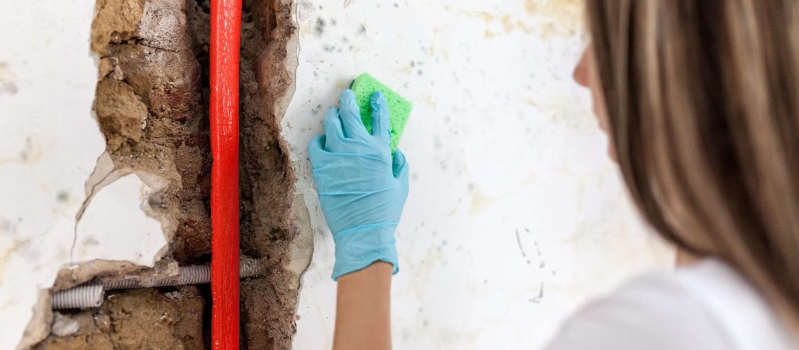 A woman cleaning up a fungus growth on a wet wall, a common issue related to basement problems.