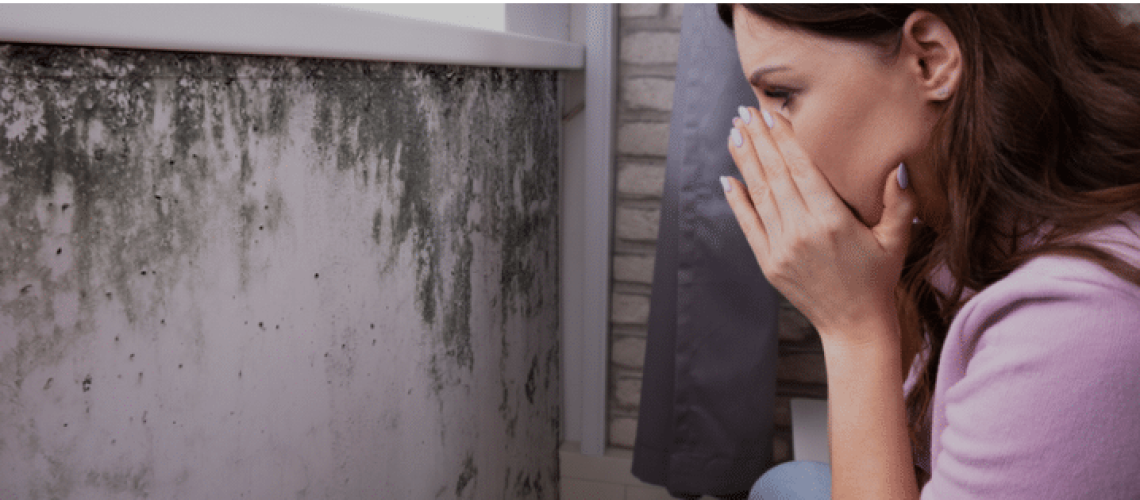 woman inspecting mold damage on wall