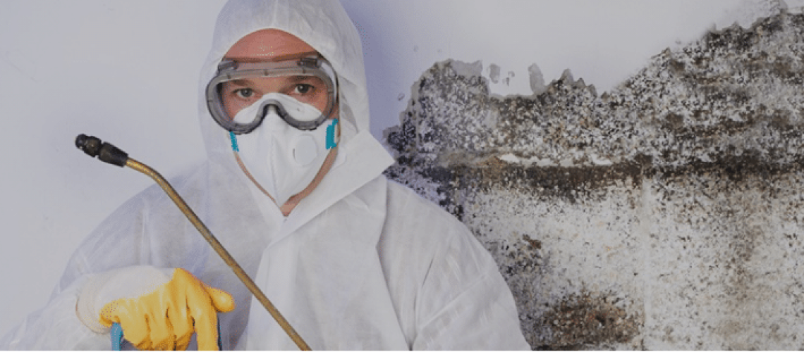 professional in protective clothing removing mold