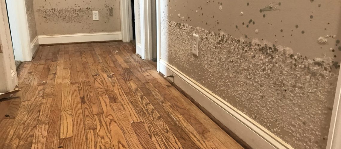 water damage and mold on interior walls from flood